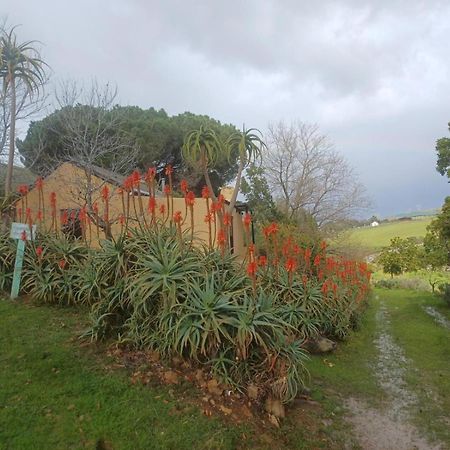 Swaynekloof Farm Villa Botrivier Exterior photo