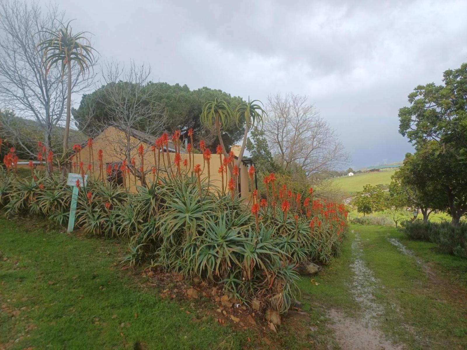 Swaynekloof Farm Villa Botrivier Exterior photo